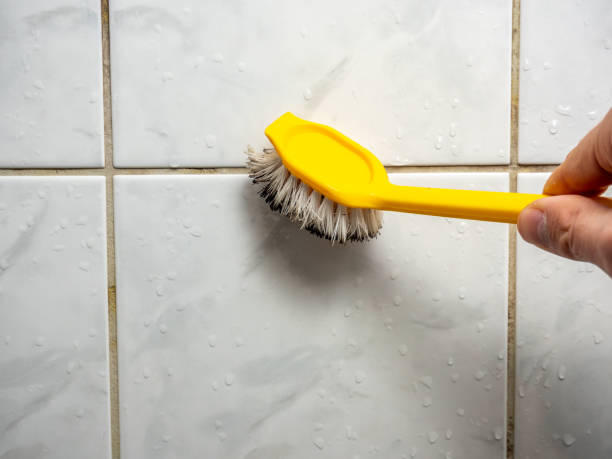 Best Mold Damage Repair  in Huntsville, MO