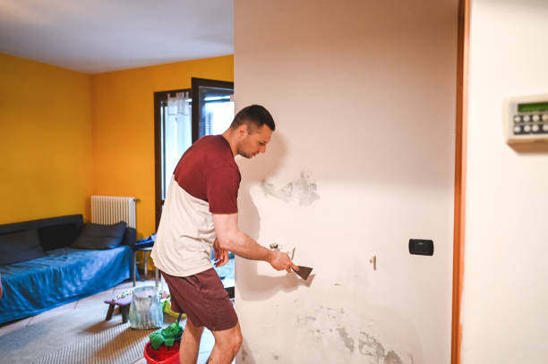 Best Mold Removal Near Me  in Huntsville, MO